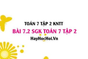 Bài 7.2 SGK Toán 7 tập 2 Kết nối tri thức